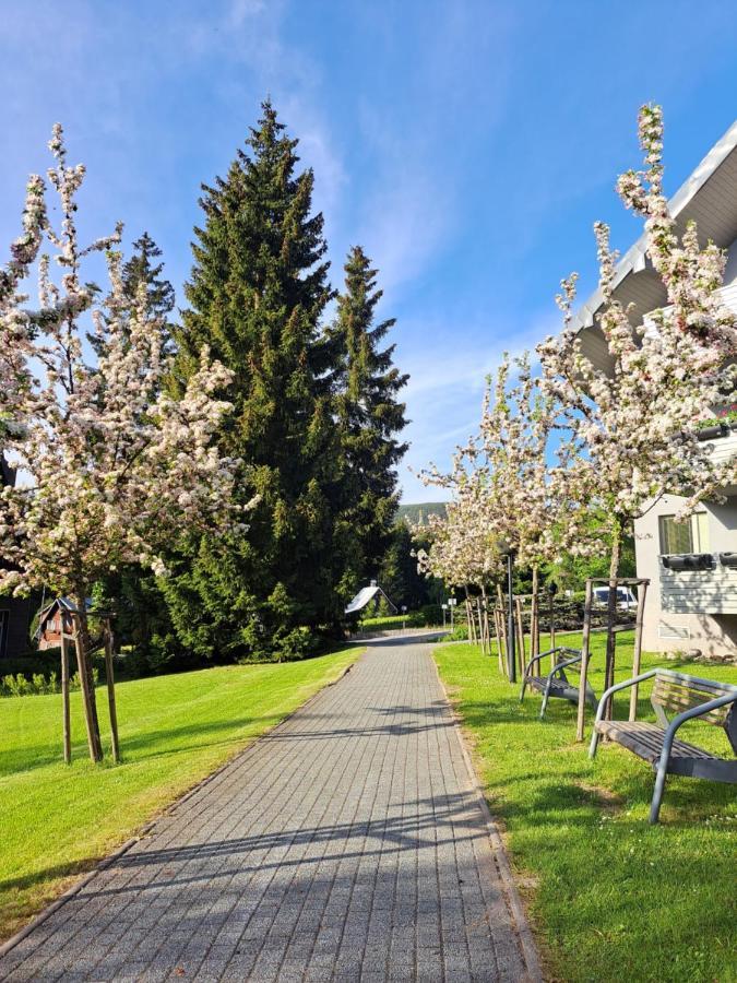 Wellness Apartment Josefina - Free Grotta Spa Wellness Harrachov Exterior photo